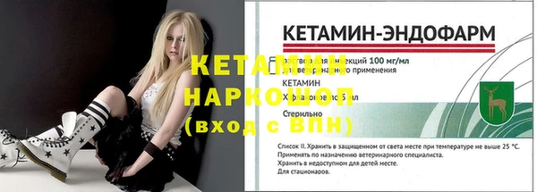 трава Аркадак