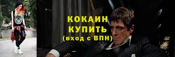 трава Аркадак
