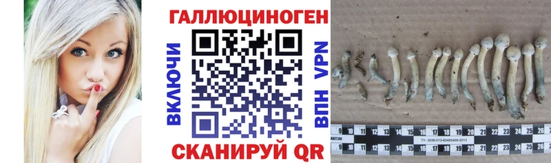 дарнет шоп  Балей  Псилоцибиновые грибы мухоморы 